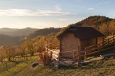 Casetta in legno con deposito attrezzi ELLA (34 mm), 7x4 m, 28 m² customer 2