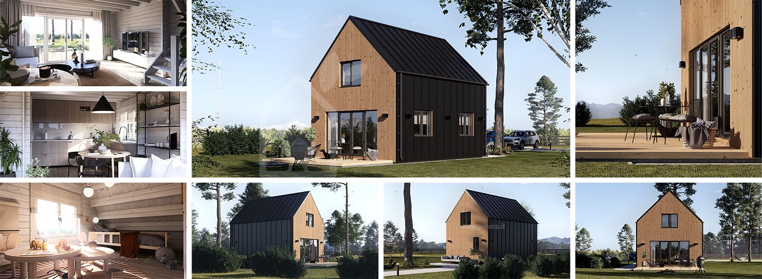 Casa prefabbricata abitabile ALINA PV (Coibentata PLUS, 44 mm + rivestimento), 46 m² visualization 1