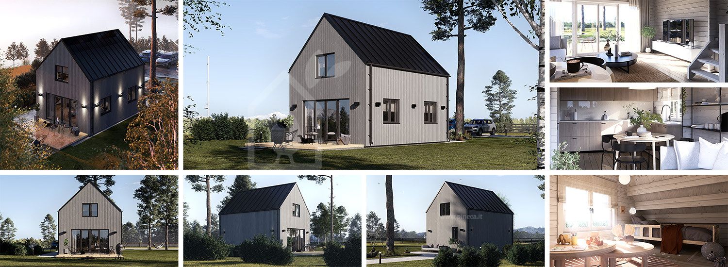 Casa in legno abitabile ALINA RV (Coibentata PLUS, 44 mm + rivestimento), 46 m² visualization 1