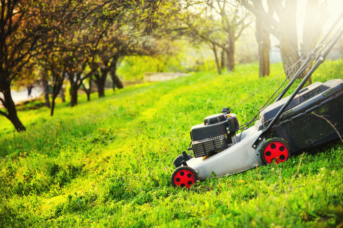 Come scegliere le macchine da giardino