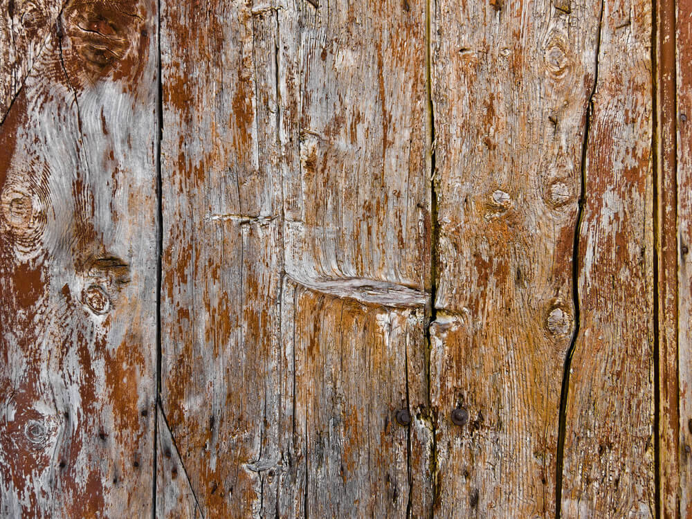 processo-di-marcescenza-case-di-legno